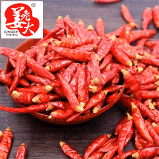 Sanying Chilli Peperoncino rosso piccante secco cinese