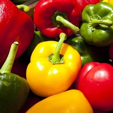 Fiocchi di paprika dolce di peperoni verdi/rossi di verdure secche all'ingrosso