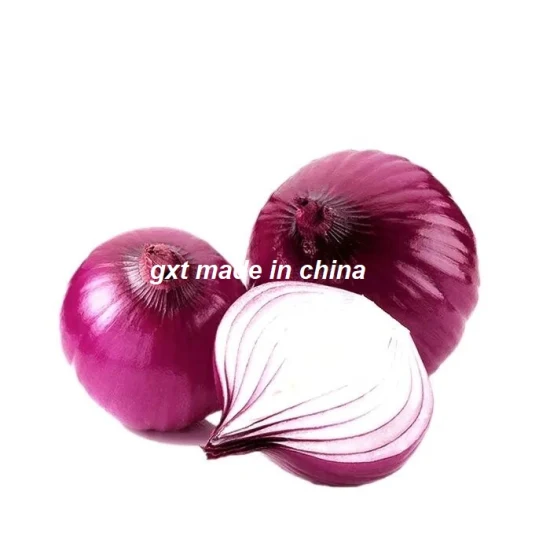 Cipolla rossa fresca dal fornitore cinese