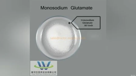 Msg per uso alimentare 99% (glutammato monosodico) speziato per msg salato