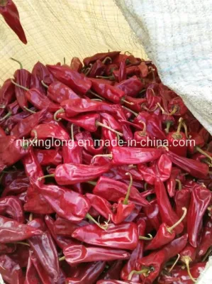 Peperoncino rosso di Pechino essiccato senza gambo 7