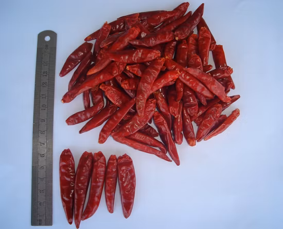 Peperoncino rosso di Pechino essiccato senza gambo 7