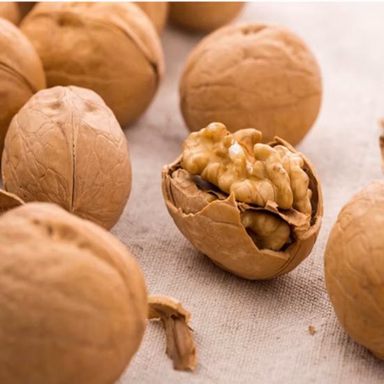 Noci intere nutrienti cinesi di alta qualità in guscio di carta