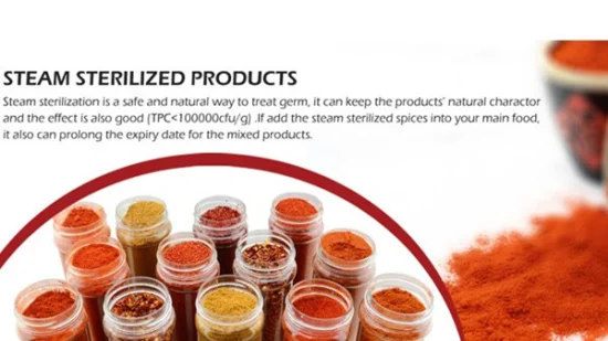 Distributore di paprika Hot Spices Anice stellato essiccato intero in Cina